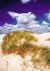 dkphoto045.jpg (11662 octets)